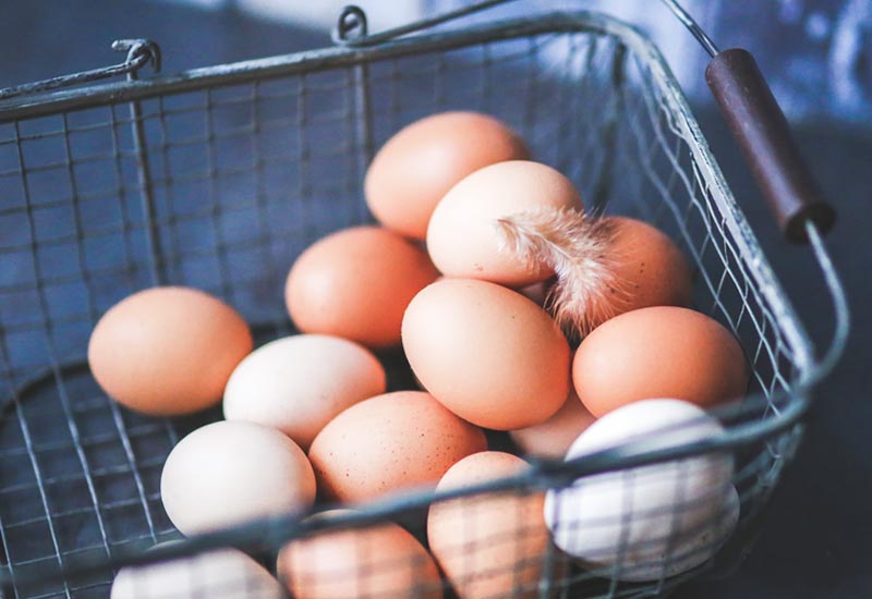 Tierische Produkte wie Eier essen aber Tiere lieben