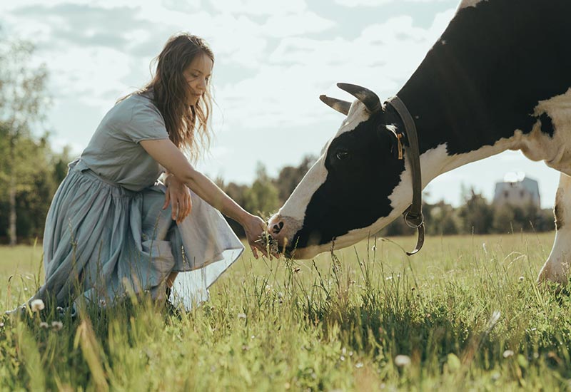 Tiere lieben aber Fleisch essen - Passt nicht