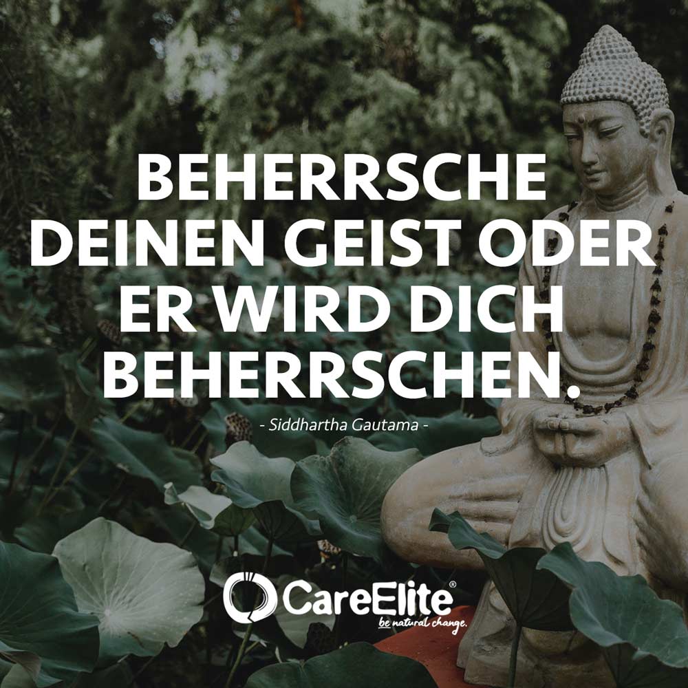 Buddha Zitate 50 Sprüche, Weisheiten & Lehren • CareElite