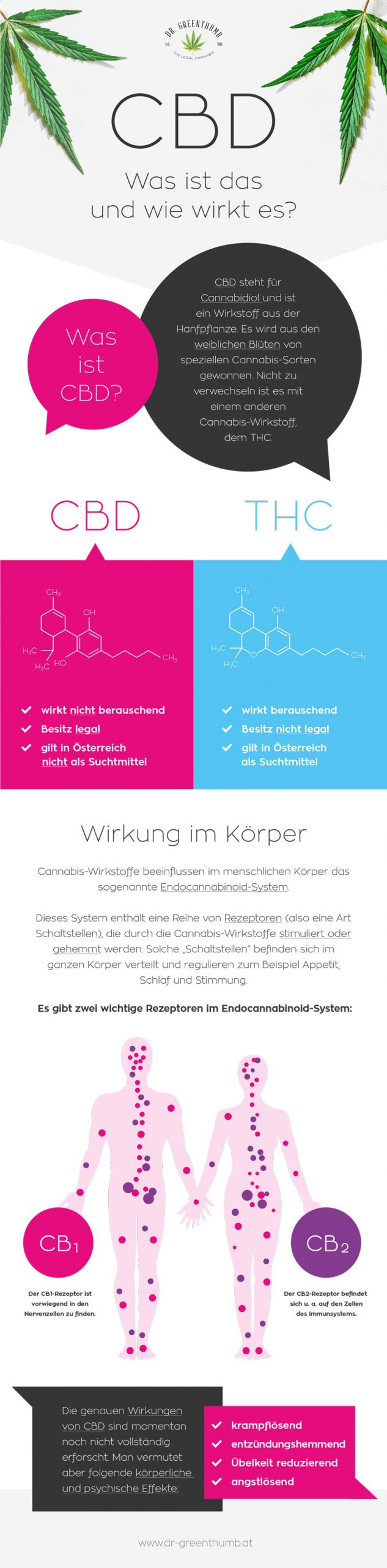 Infografik: Unterschiede von CBD und THC