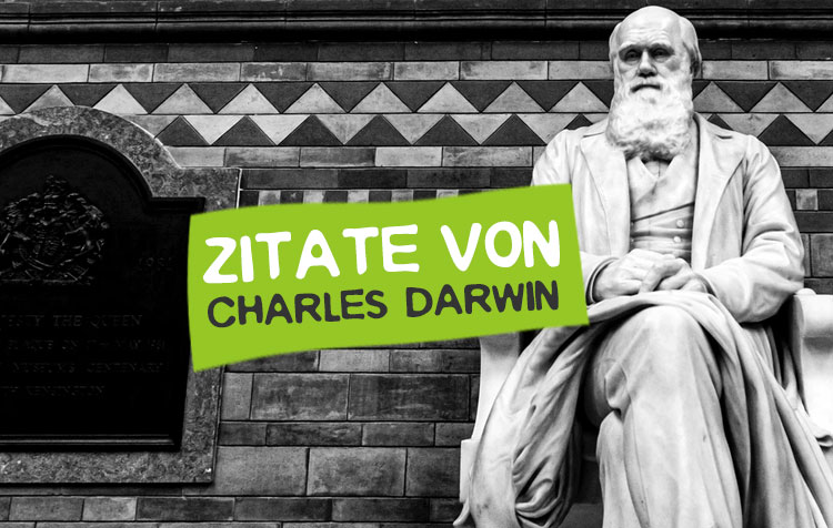 Charles Darwin Zitate, Weisheiten und Sprüche