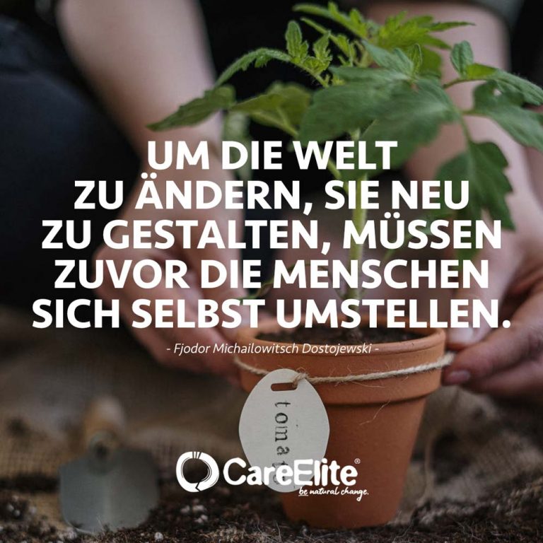 Dostojewski Zitate 27 Sprüche & Weisheiten • CareElite