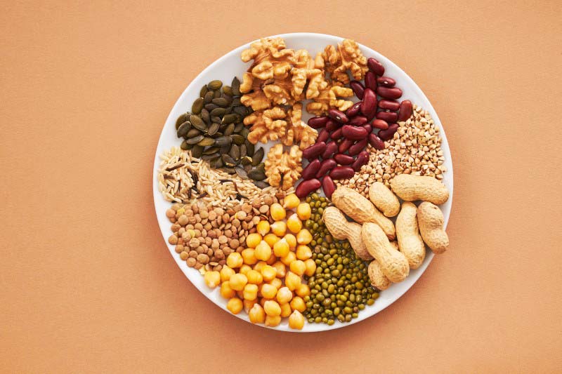 Legumes and nuts are good sources of vegetable protein