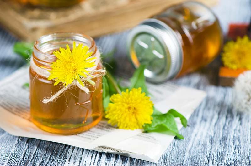 Make dandelion honey yourself