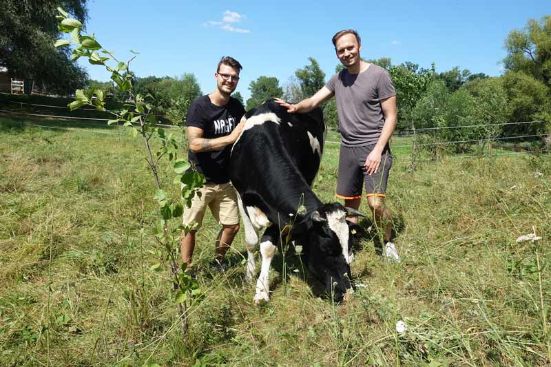 Vom Fleischesser zum Veganer - Umstieg