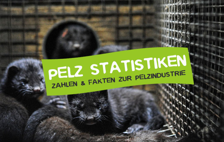 Pelz Statistiken, Zahlen und Fakten