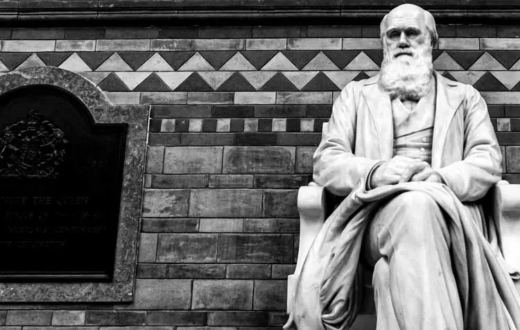Charles Darwin Quotes, Wisdoms and Sayings