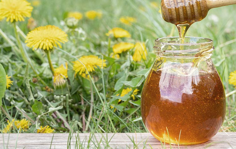 Do it yourself dandelion honey