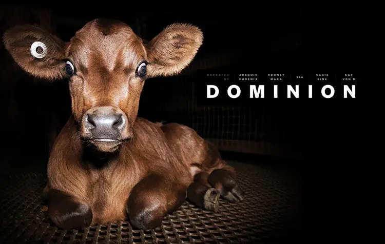 Dominion - Animal husbandry film that changes you - CareElite