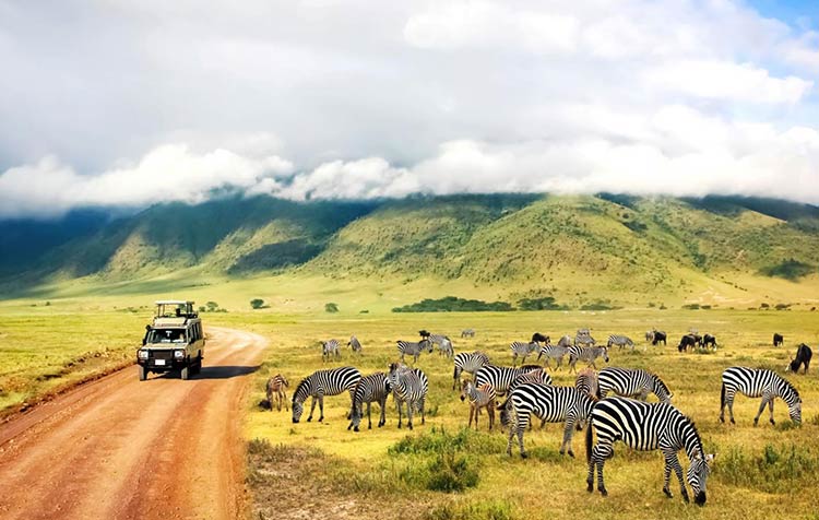 Green and sustainable travel in Africa