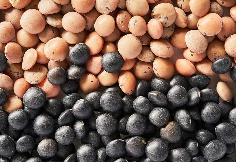 Lentils contain large amounts of vitamin B4 (choline)