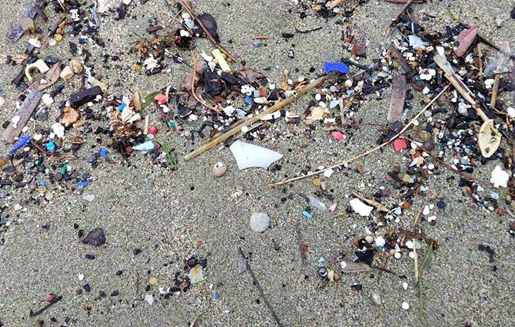 Microplastics in the sea and the environment