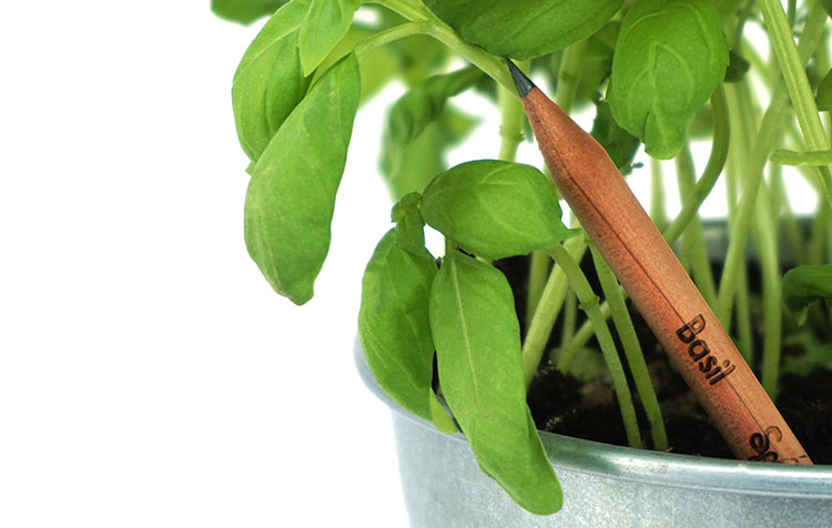 Plantable pencils