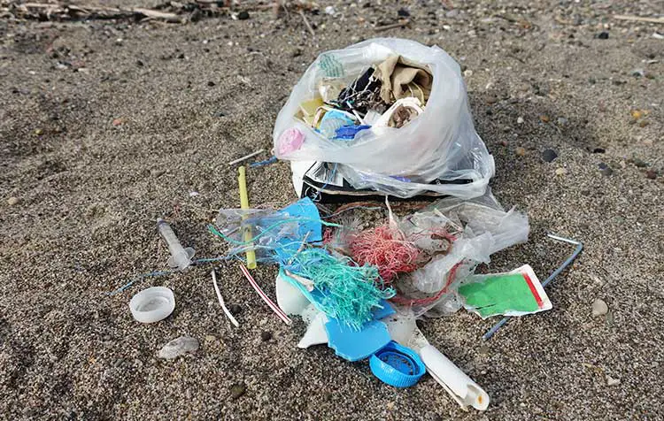 Plastic waste in the oceans harms animals and humans