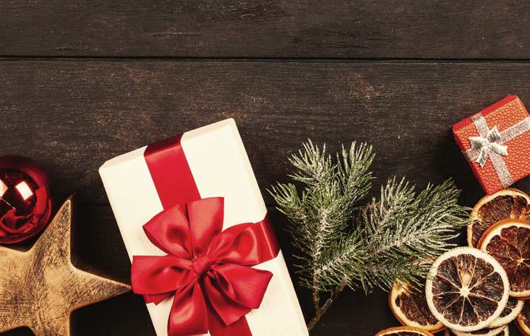 Vegan Christmas gifts for men, women and children