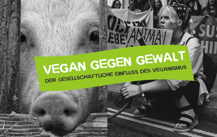 Vegan gegen Gewalt - Einfluss des Veganismus auf die Gesellschaft