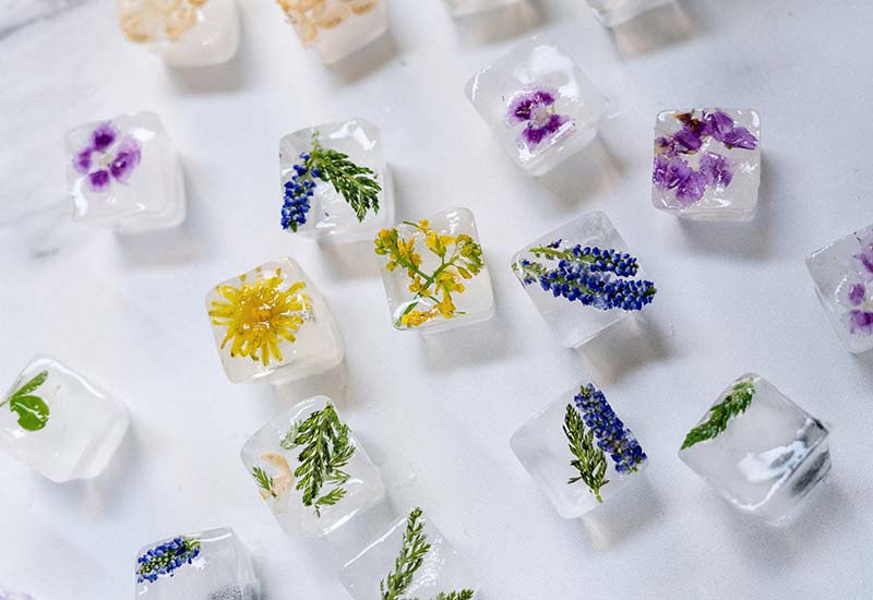 Ice cubes with herbs for exciting drinks