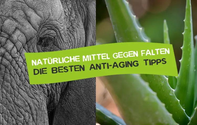 tipps anti aging und)