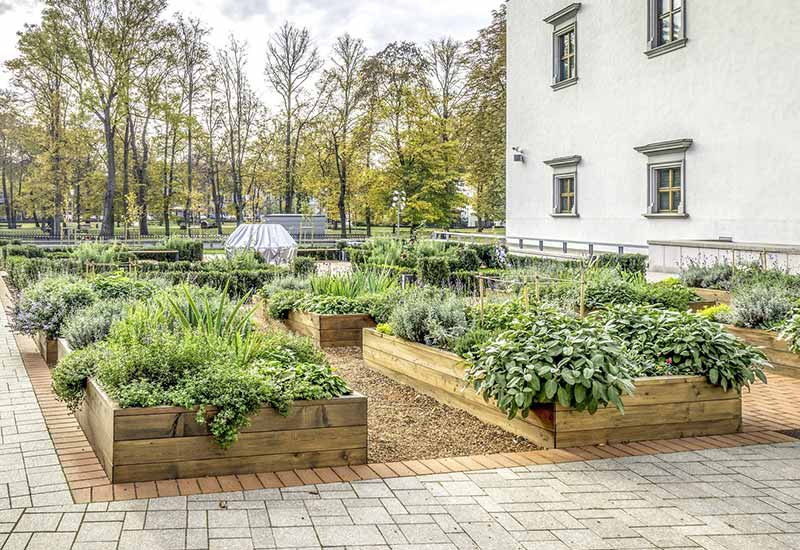 Grüne Städte - Nutzbeete in einer urbanen Wohnanlage