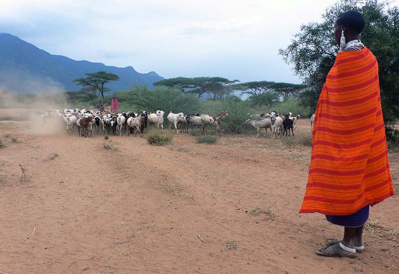 Massai - Sätze, die sich Veganer anhören müssen