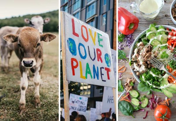 Weniger Fleisch essen: 10 Tipps, damit es sicher klappt • CareElite