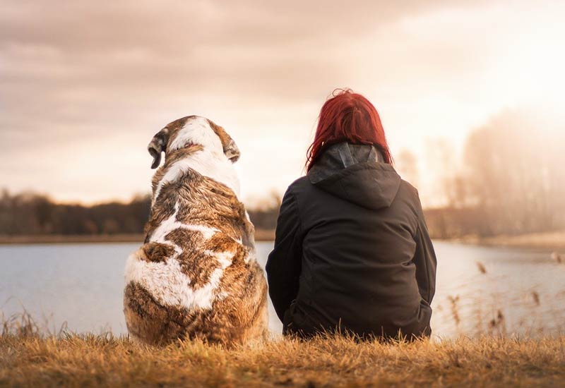 Climate friendly life with dog is possible