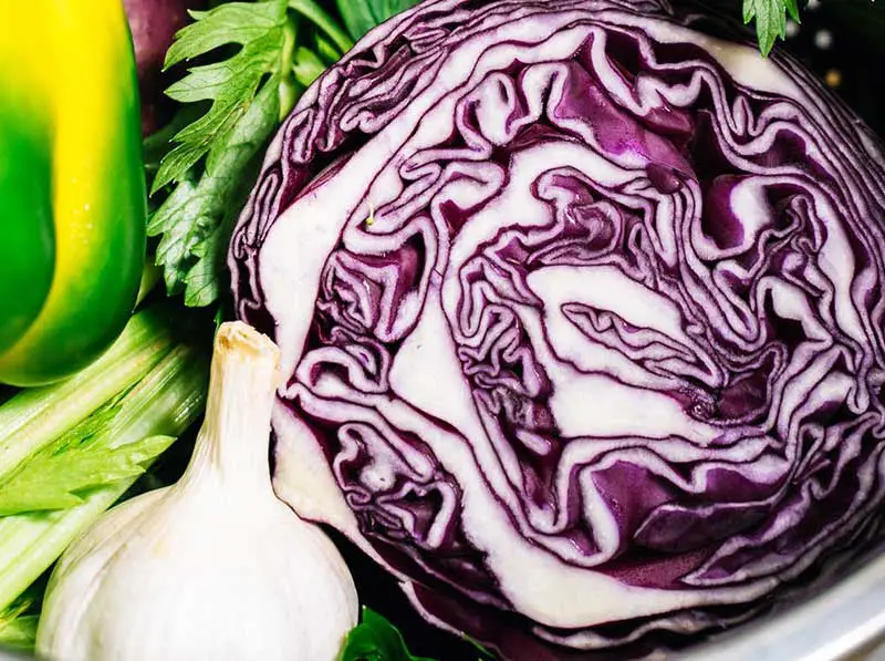 Red cabbage is rich in molybdenum