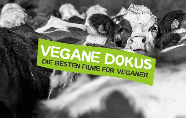 Vegane Dokus und Filme über Massentierhaltung und Veganismus