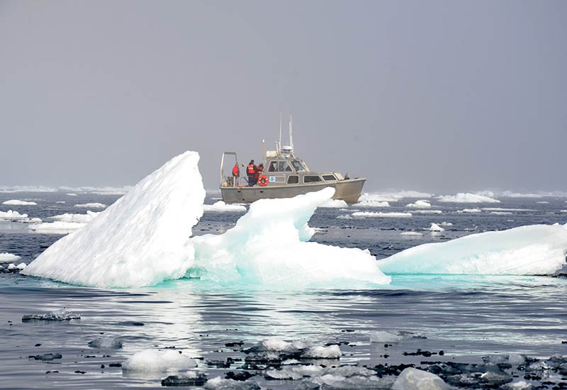 The impact of the albedo effect on climate change