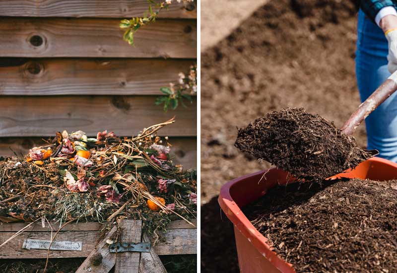 Kompost als Torf Alternative für den Garten