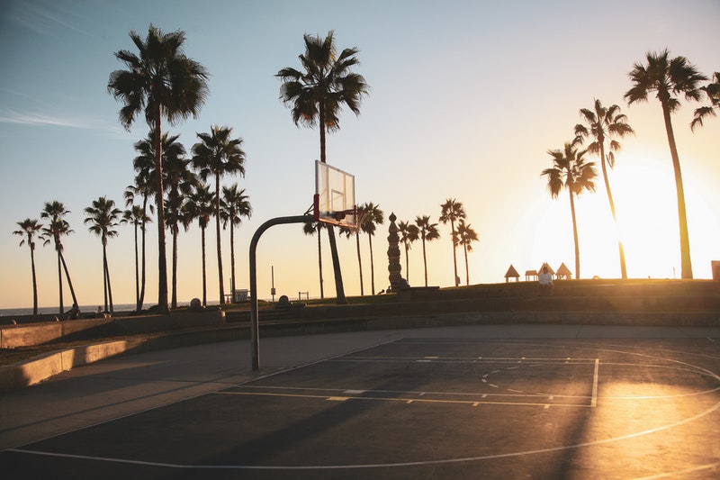 Eine der populärsten Sportarten der Welt ist Basketball und auch hier finden sich viele vegane Sportler.