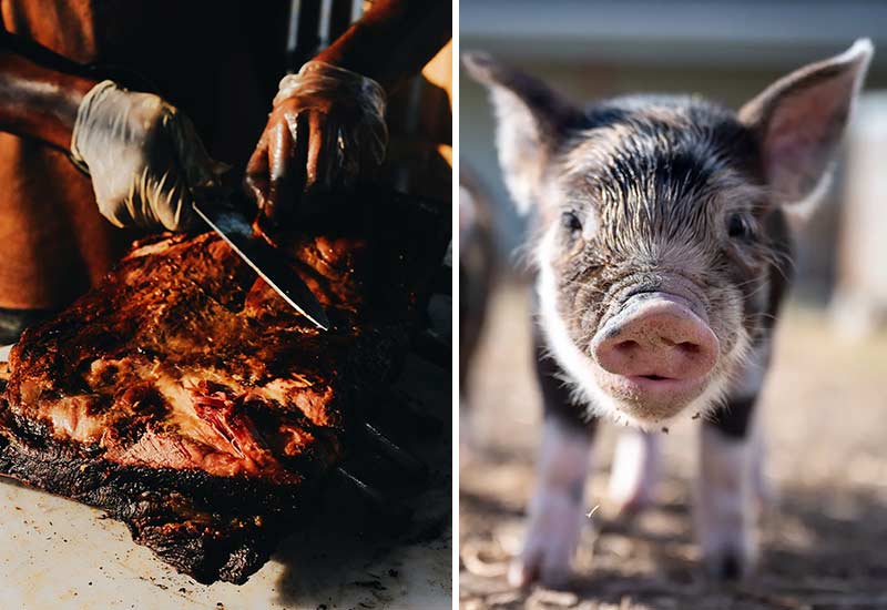 Fleischessen aber Tiere lieben