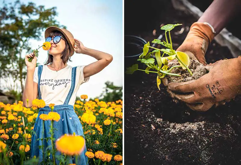 Belebe deinen Garten für einen nachhaltigen Sommer