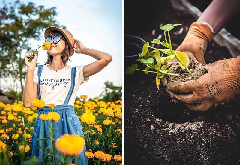 Belebe deinen Garten für einen nachhaltigen Sommer