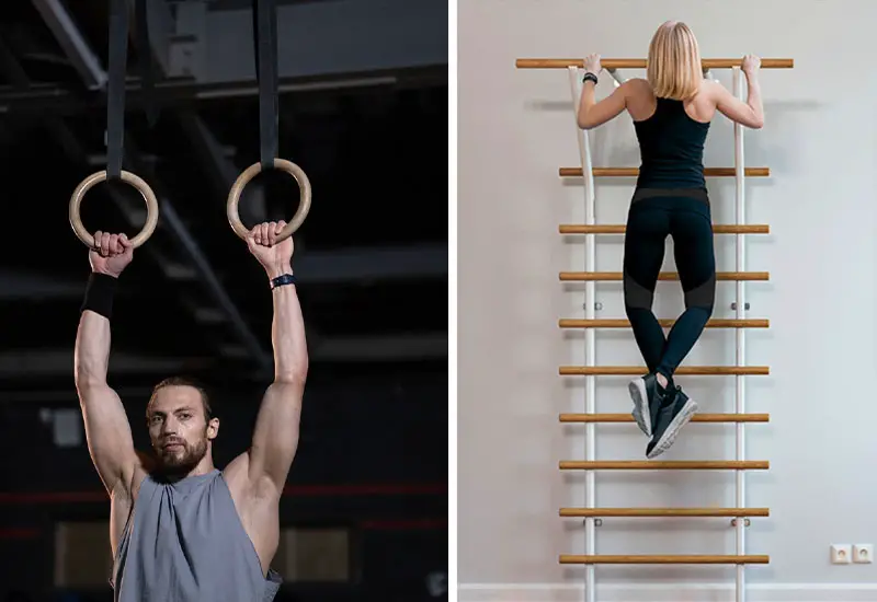 Gym rings and wall bars for vegan muscle building