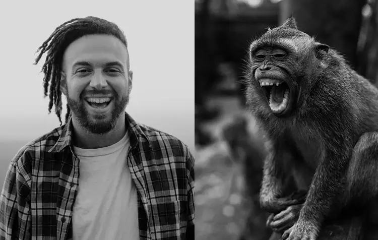 Do animals laugh like we humans do?