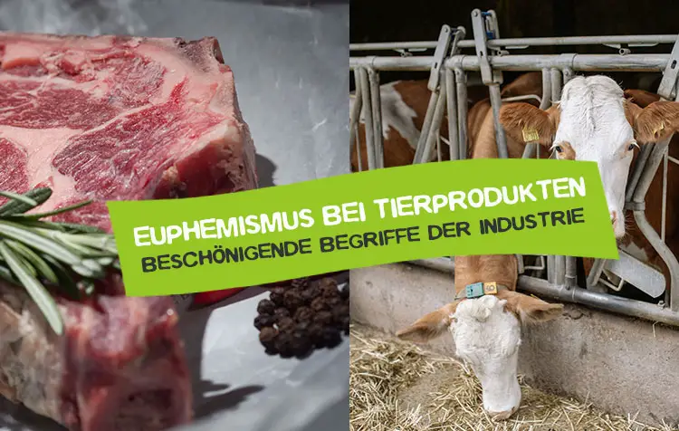 Euphemismus bei Tierprodukten wie Fleisch, Eiern, Käse und Milch