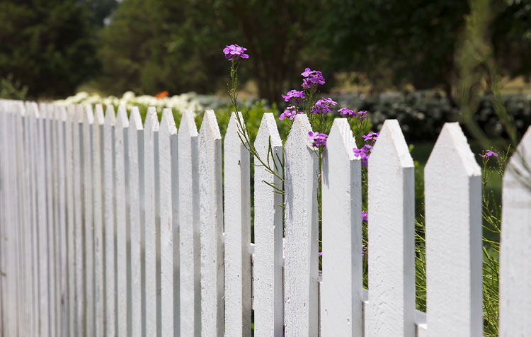 Sustainable fences - The best tips