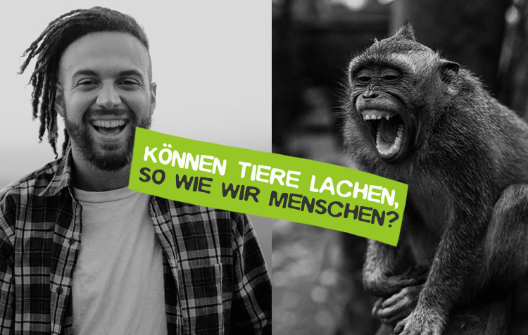 Können Tiere lachen so wie wir Menschen?