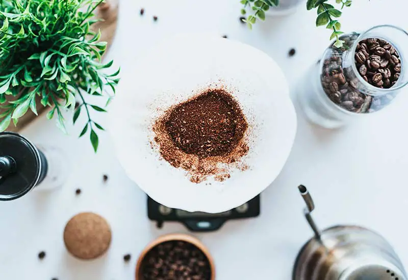 Coffee grounds are suitable as a sustainable fertilizer