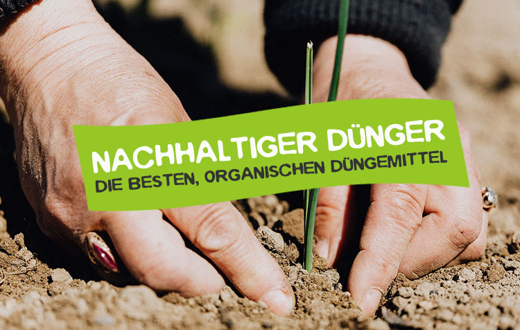 Nachhaltiger Dünger – 10 organische Düngemittel