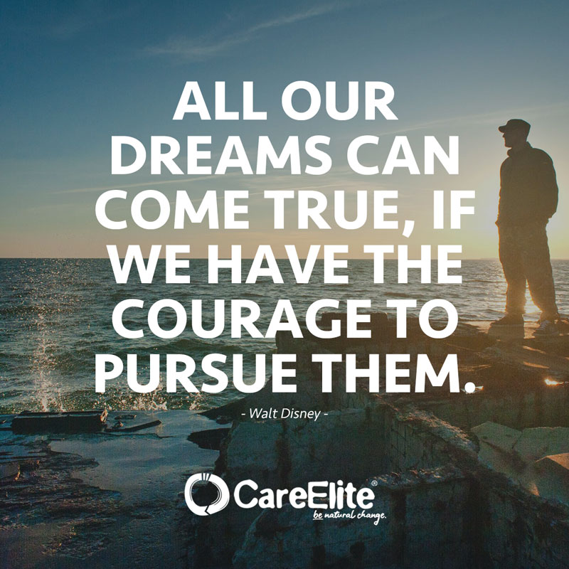 "All our dreams can come true, if we have the courage to pursue them." (Quote from Walt Disney)