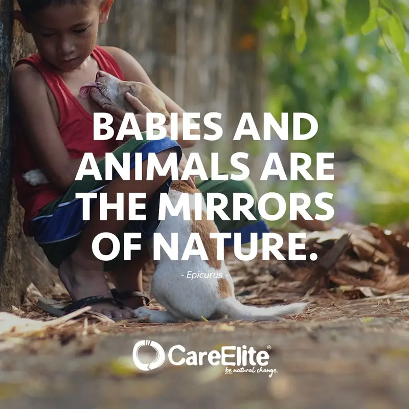 Children and animals mirror quote