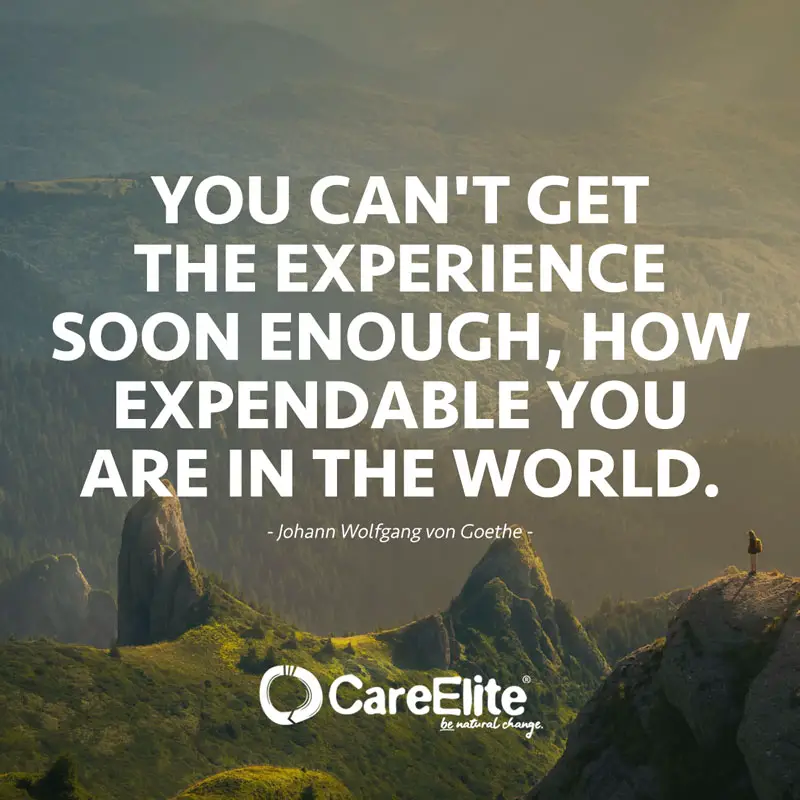 You can't get the experience soon enough, how expendable you are in the world." (Quote by Johann Wolfgang von Goethe)
