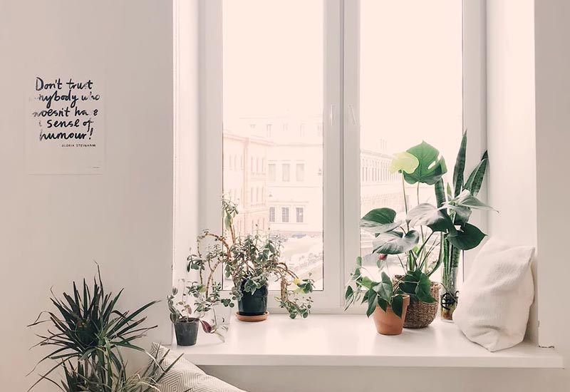 Nachhaltige Fenster mit dem richtigen Material