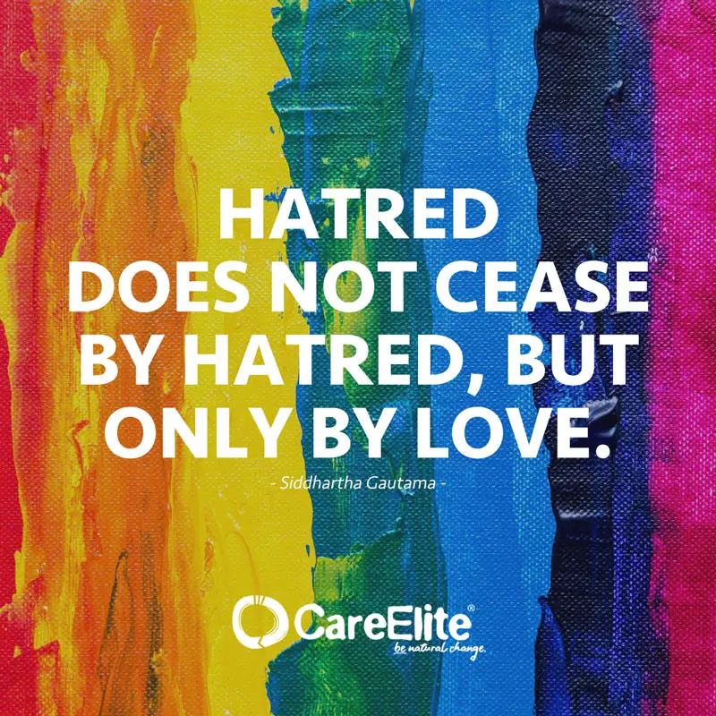 "Hatred does not cease by hatred." (Quote by Siddhartha Gautama)