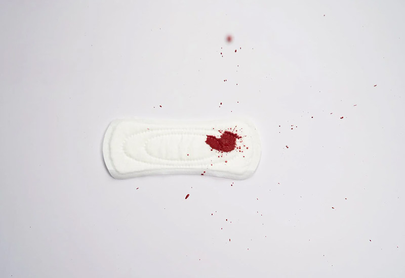 Nachhaltige Periode mit Bio-Slipeinlagen
