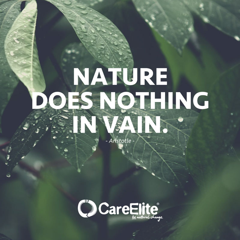"Nature does nothing in vain." (Quote from Aristotle)