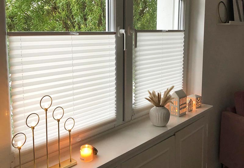 Pleated blinds on a window