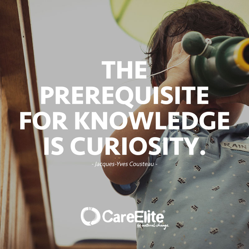 "The prerequisite for knowledge is curiosity." (Quote by Jacques-Yves Cousteau)